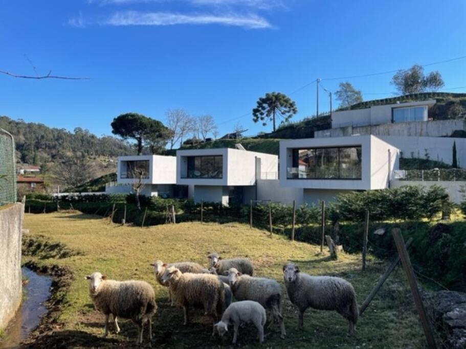 Viana Do Castelo - Amonde Village -Casa A * Relax Zewnętrze zdjęcie